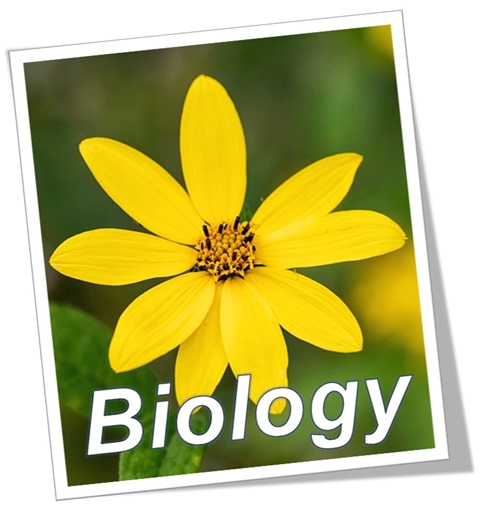 OCR 21st Century Combined Science Biology